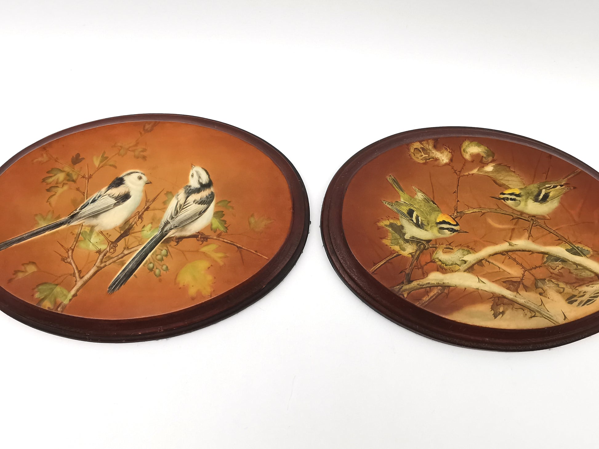 Pair Vintage Basil Ede Bird Oval Wall Plaques – Goldcrests and Long-tailed Tits, 26cm wide