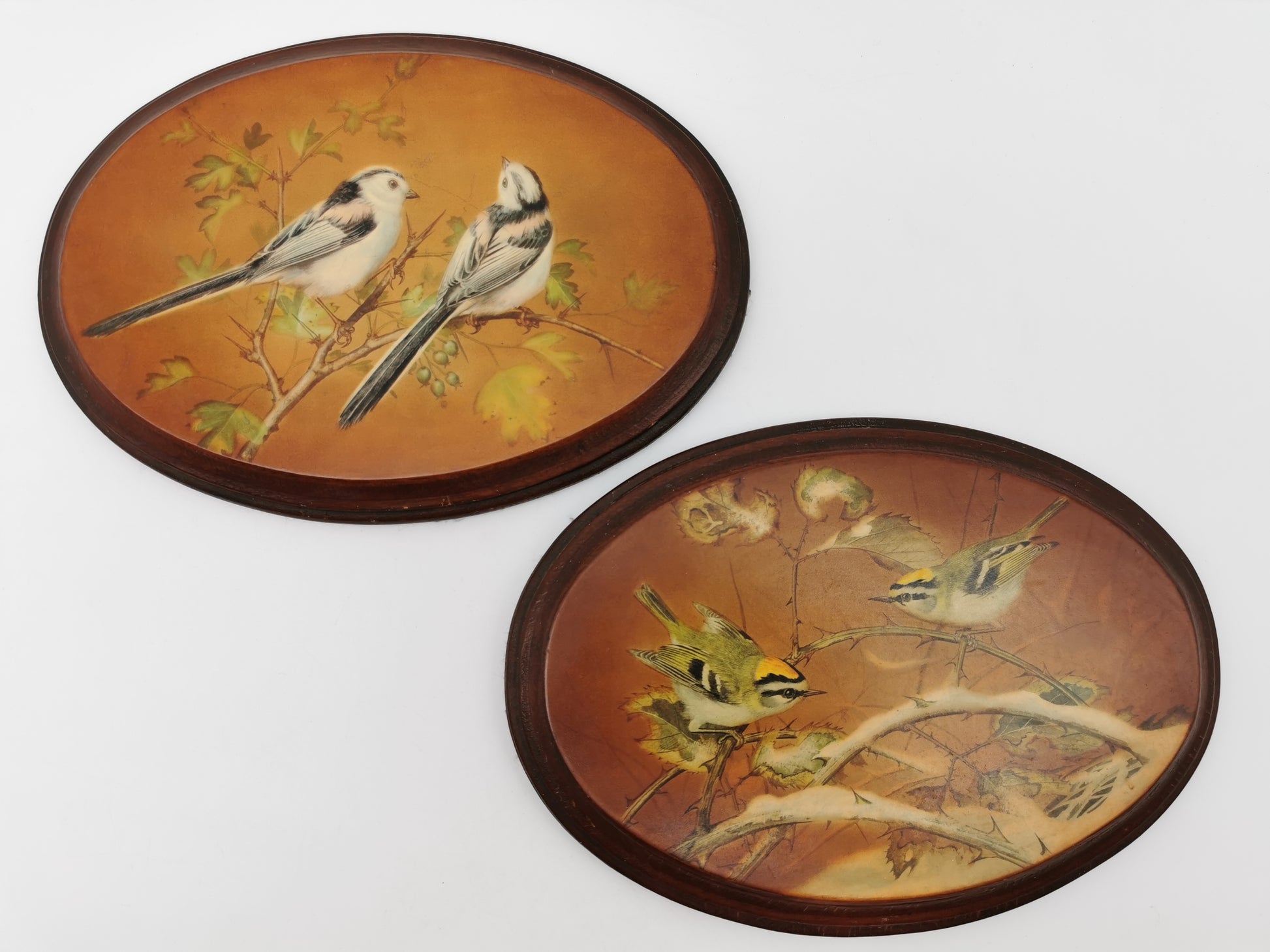 Pair Vintage Basil Ede Bird Oval Wall Plaques – Goldcrests and Long-tailed Tits, 26cm wide