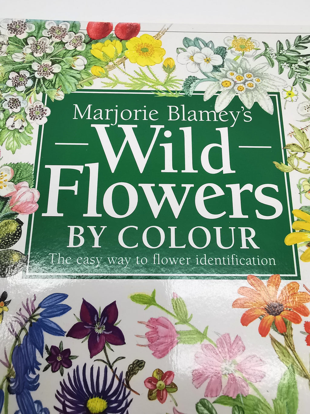 Marjorie Blamey's Wild Flowers by Colour: The Easy Way to Flower Identification (Hardback, 1997)