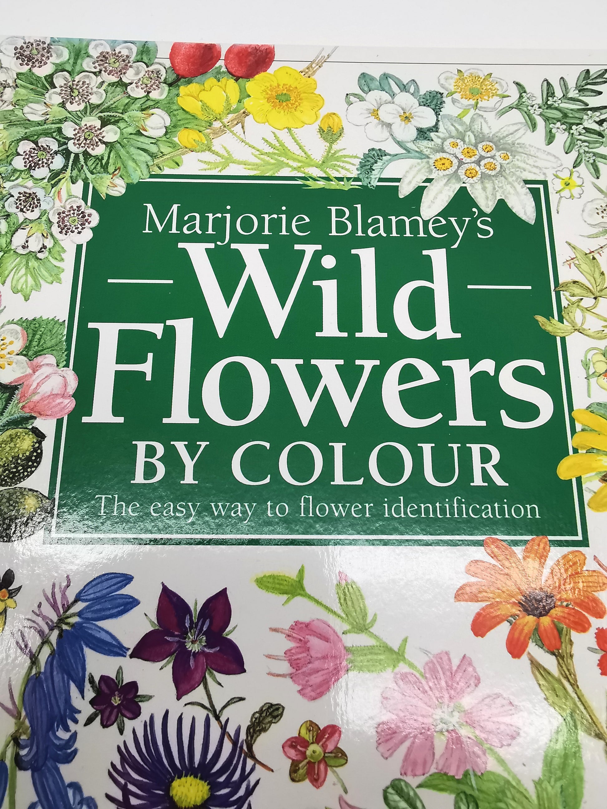 Marjorie Blamey's Wild Flowers by Colour: The Easy Way to Flower Identification (Hardback, 1997)