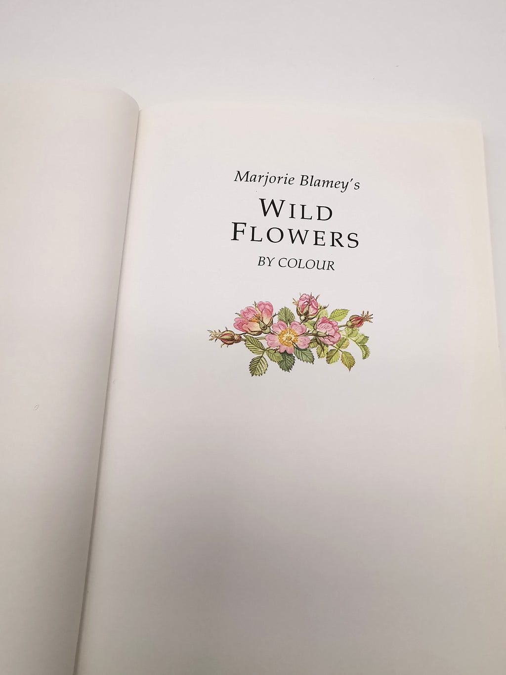 Marjorie Blamey's Wild Flowers by Colour: The Easy Way to Flower Identification (Hardback, 1997)