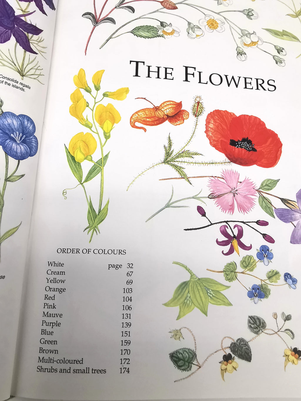 Marjorie Blamey's Wild Flowers by Colour: The Easy Way to Flower Identification (Hardback, 1997)
