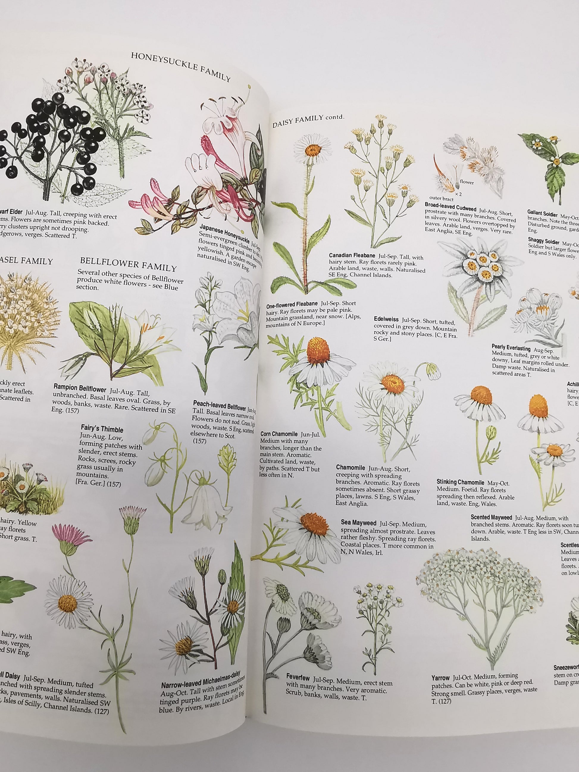 Marjorie Blamey's Wild Flowers by Colour: The Easy Way to Flower Identification (Hardback, 1997)