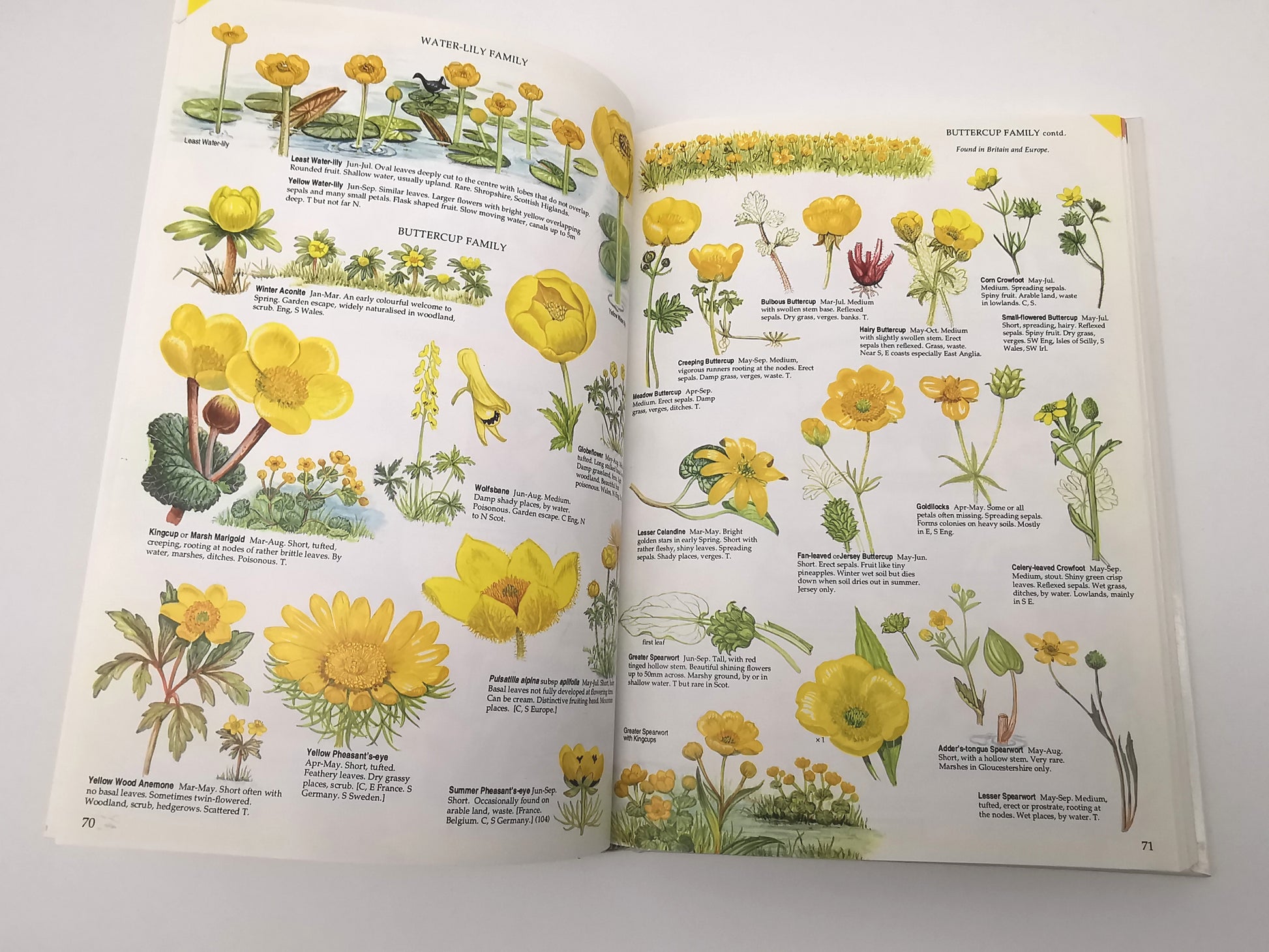 Marjorie Blamey's Wild Flowers by Colour: The Easy Way to Flower Identification (Hardback, 1997)