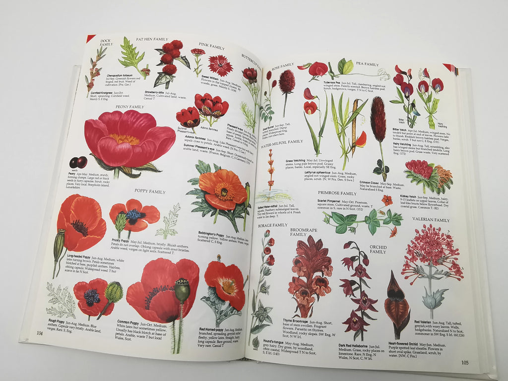 Marjorie Blamey's Wild Flowers by Colour: The Easy Way to Flower Identification (Hardback, 1997)