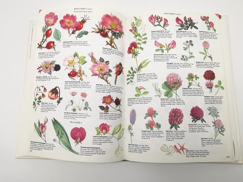 Marjorie Blamey's Wild Flowers by Colour: The Easy Way to Flower Identification (Hardback, 1997)