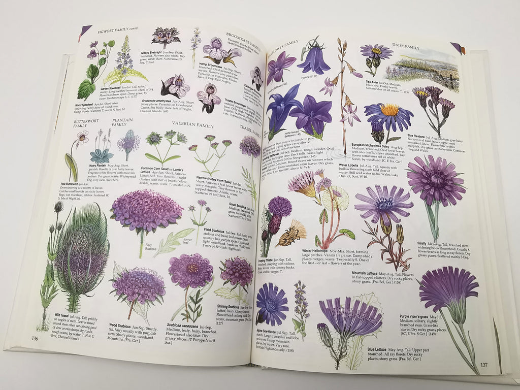 Marjorie Blamey's Wild Flowers by Colour: The Easy Way to Flower Identification (Hardback, 1997)