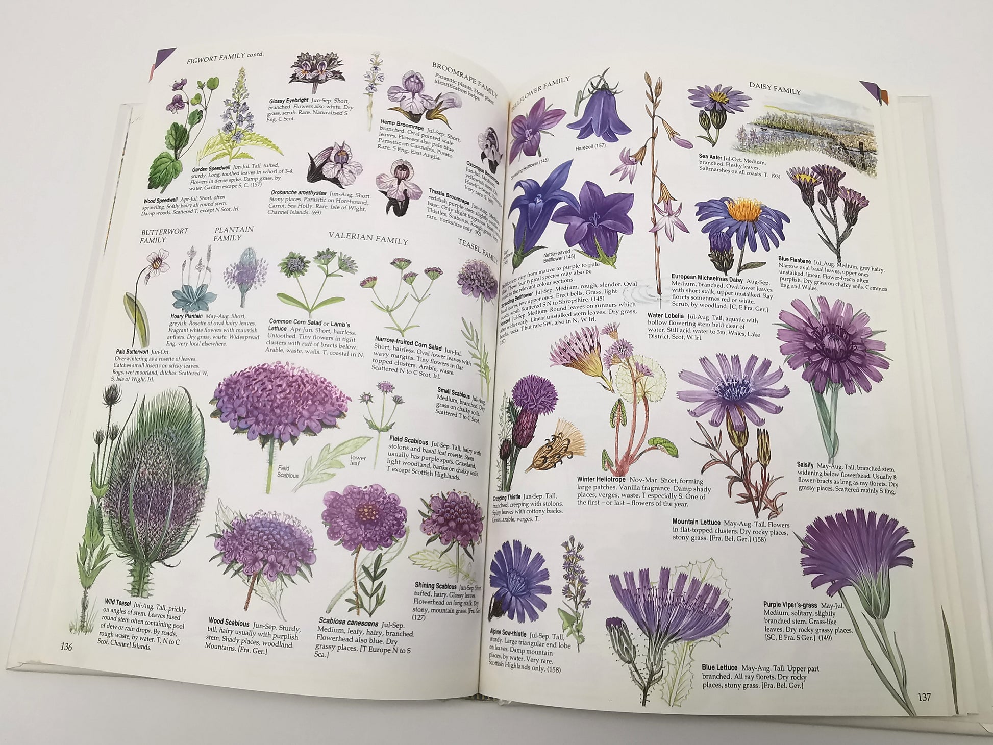 Marjorie Blamey's Wild Flowers by Colour: The Easy Way to Flower Identification (Hardback, 1997)