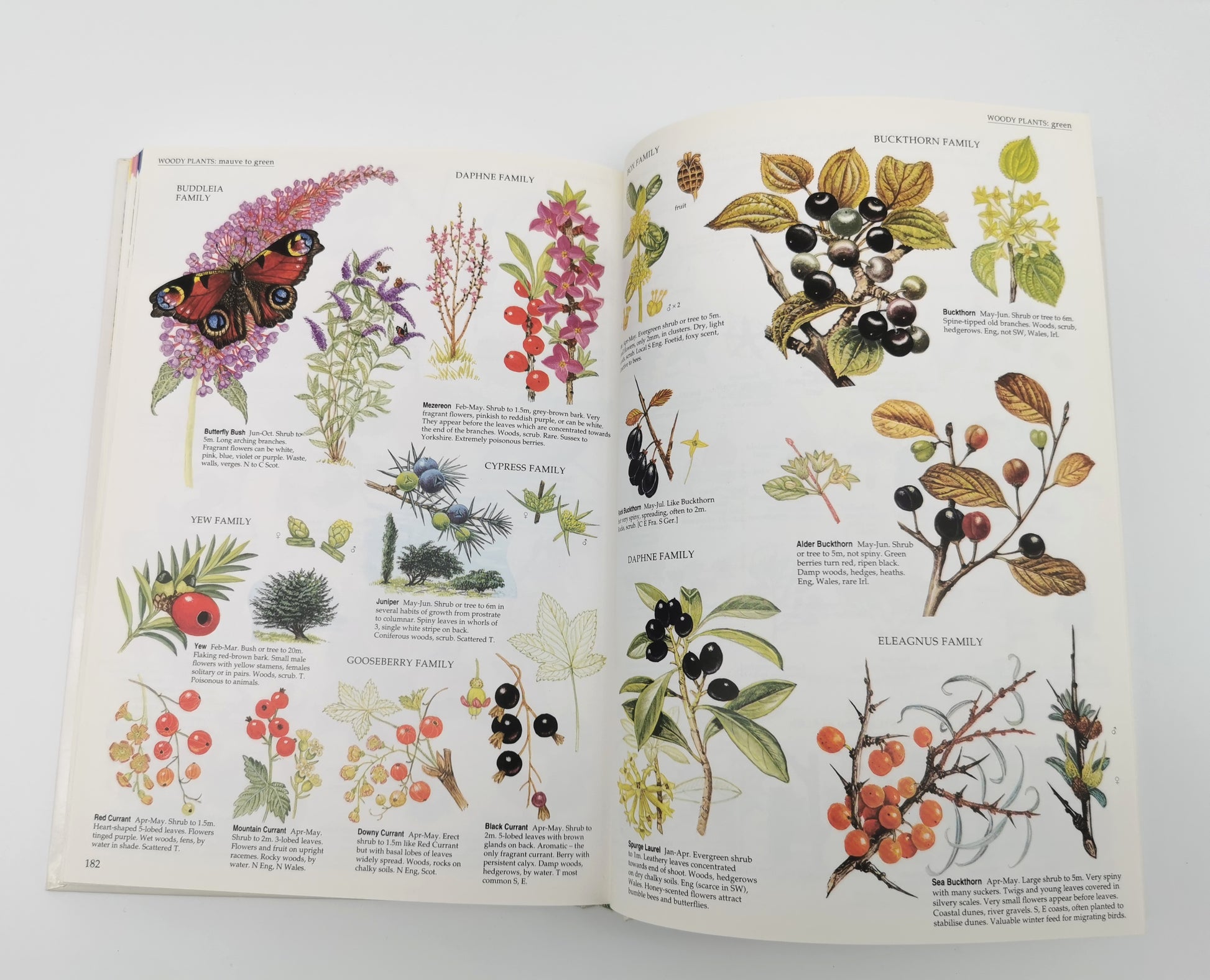 Marjorie Blamey's Wild Flowers by Colour: The Easy Way to Flower Identification (Hardback, 1997)