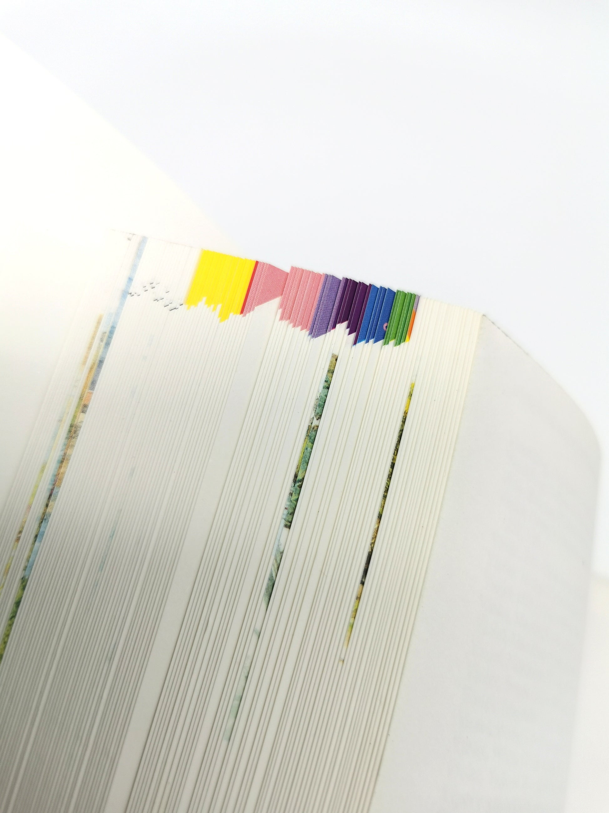 Marjorie Blamey's Wild Flowers by Colour: The Easy Way to Flower Identification (Hardback, 1997)
