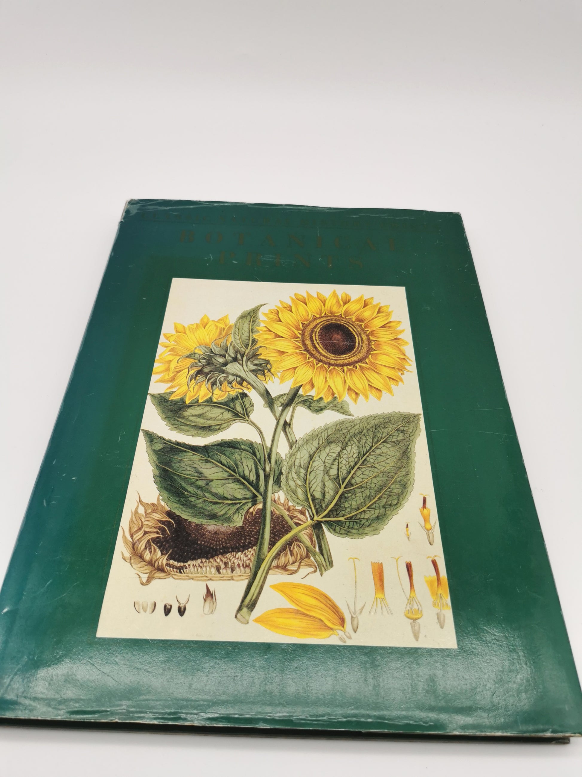 Botanical Prints Large Folio Hardback Book – Eve and Norman Robson (Classic Natural History Prints), Vintage 1991