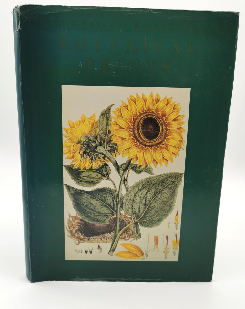 Botanical Prints Large Folio Hardback Book – Eve and Norman Robson (Classic Natural History Prints), Vintage 1991