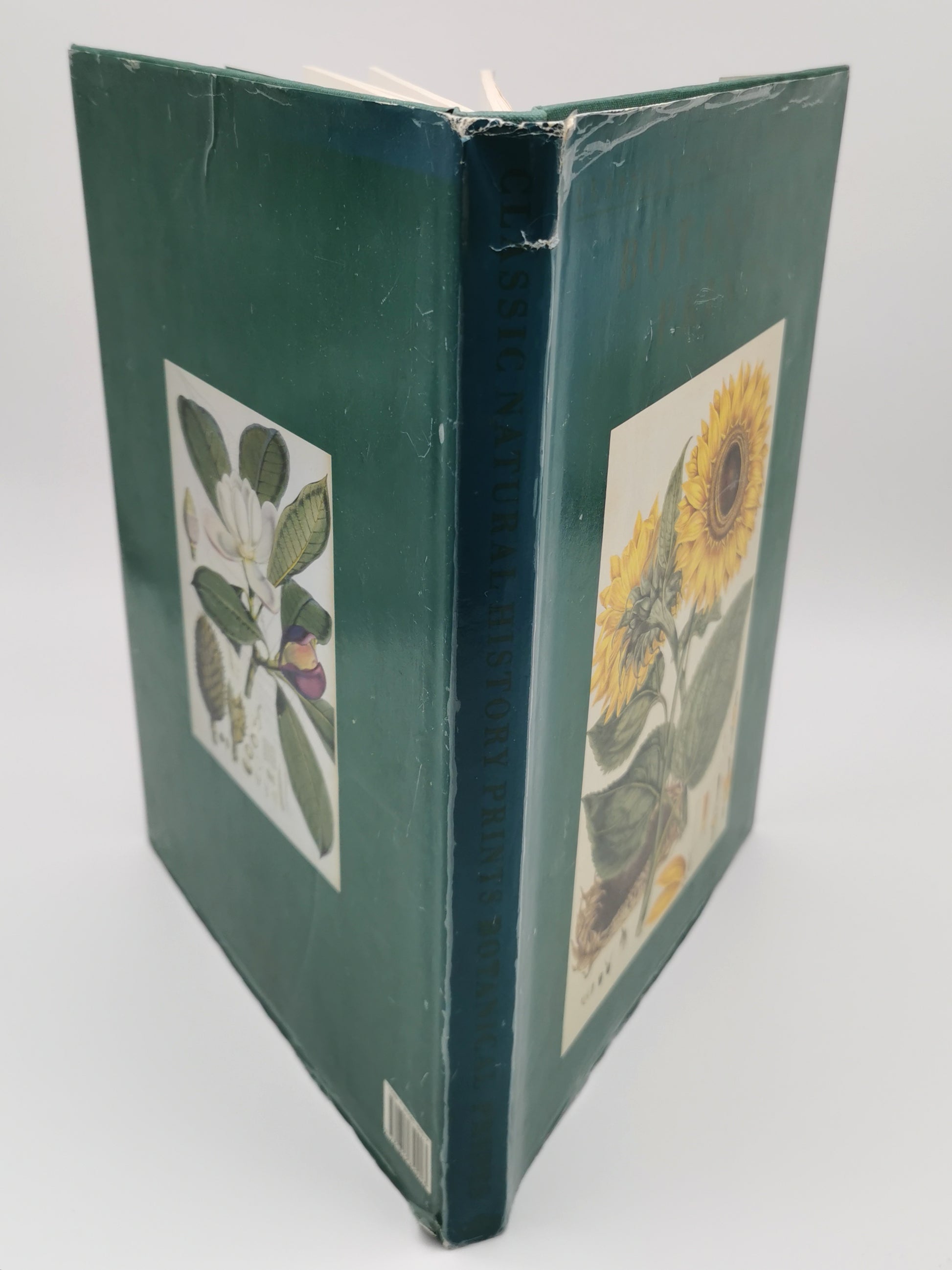 Botanical Prints Large Folio Hardback Book – Eve and Norman Robson (Classic Natural History Prints), Vintage 1991
