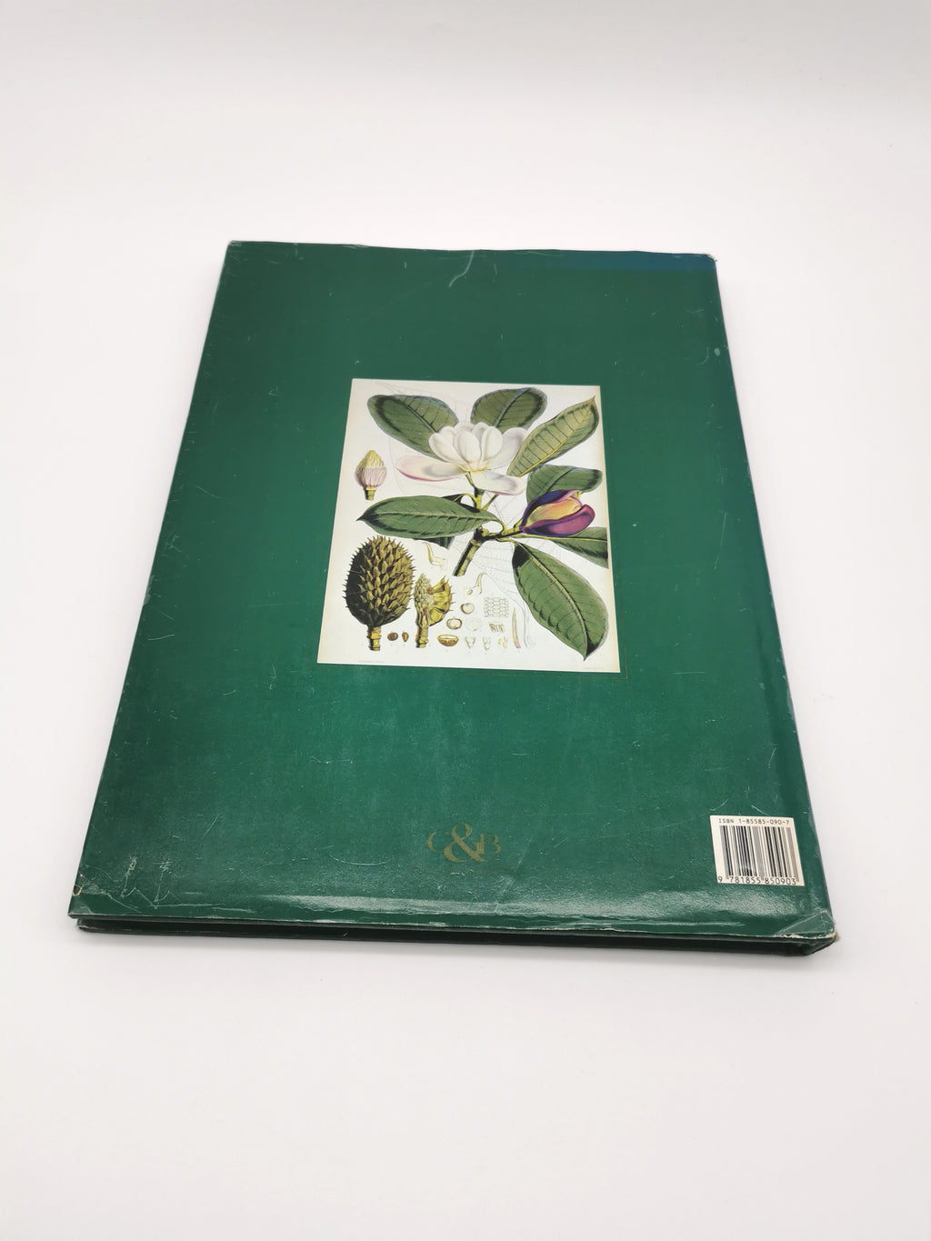 Botanical Prints Large Folio Hardback Book – Eve and Norman Robson (Classic Natural History Prints), Vintage 1991