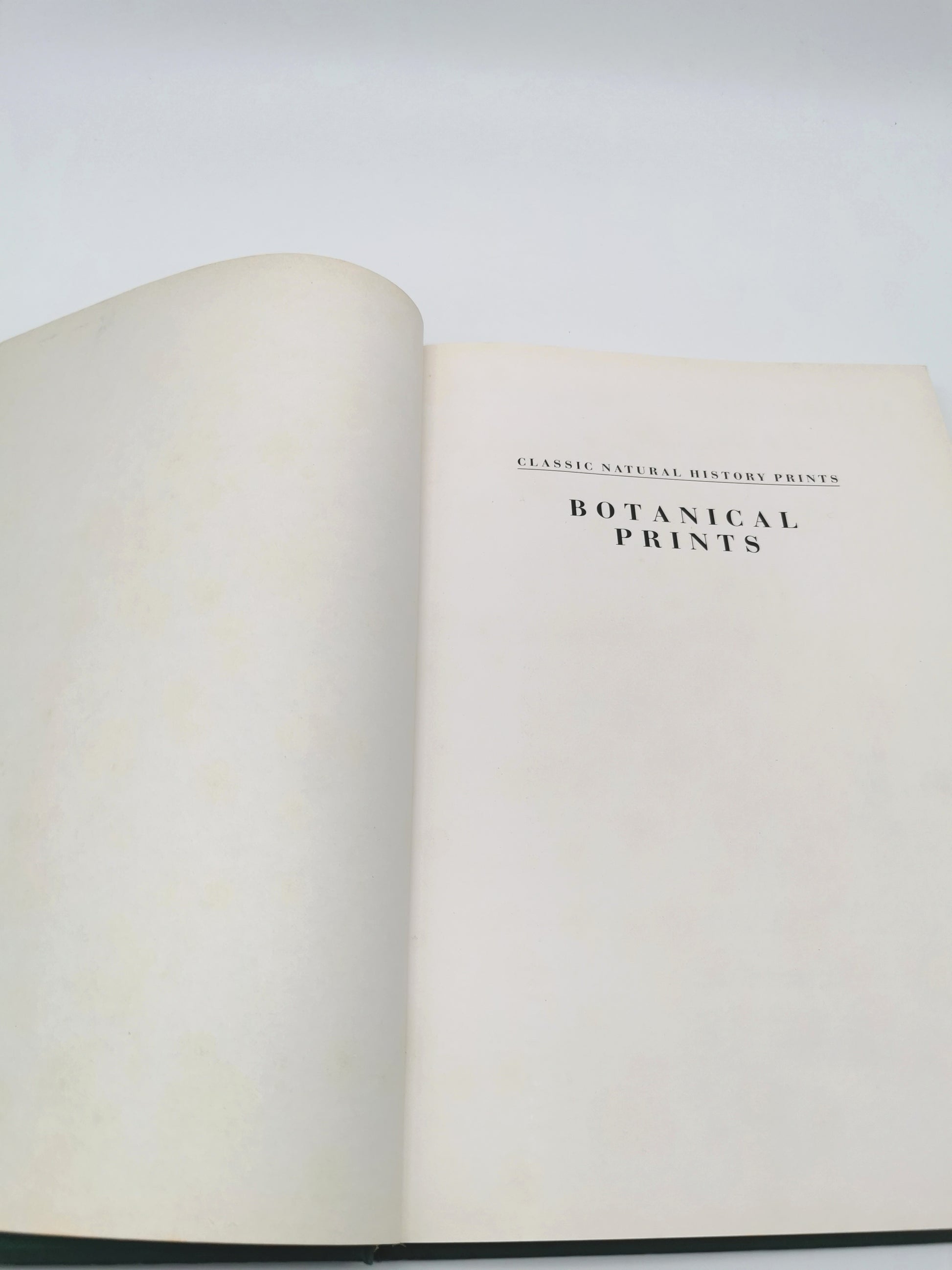 Botanical Prints Large Folio Hardback Book – Eve and Norman Robson (Classic Natural History Prints), Vintage 1991