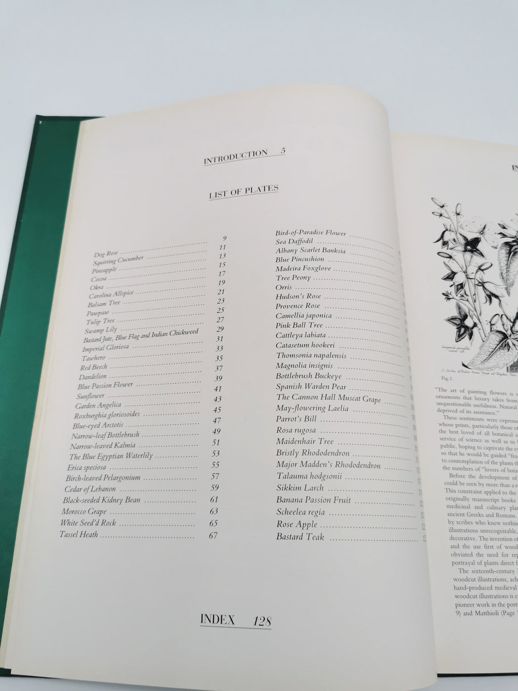 Botanical Prints Large Folio Hardback Book – Eve and Norman Robson (Classic Natural History Prints), Vintage 1991