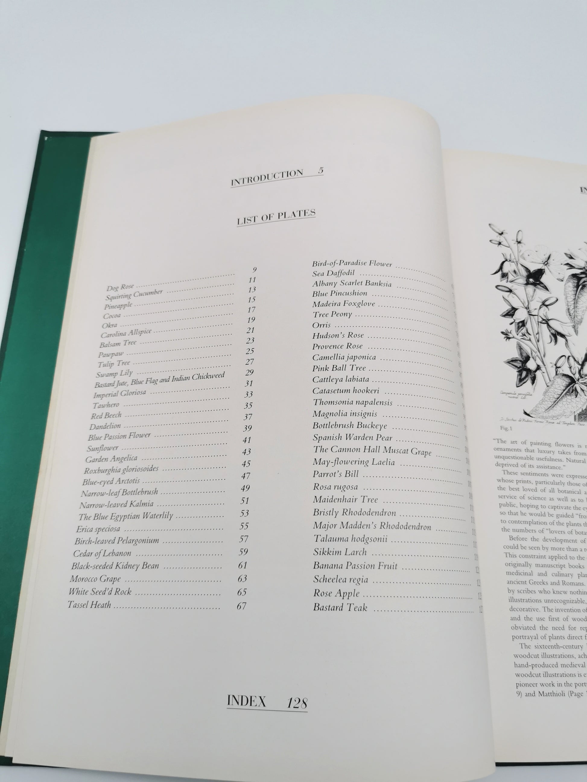 Botanical Prints Large Folio Hardback Book – Eve and Norman Robson (Classic Natural History Prints), Vintage 1991