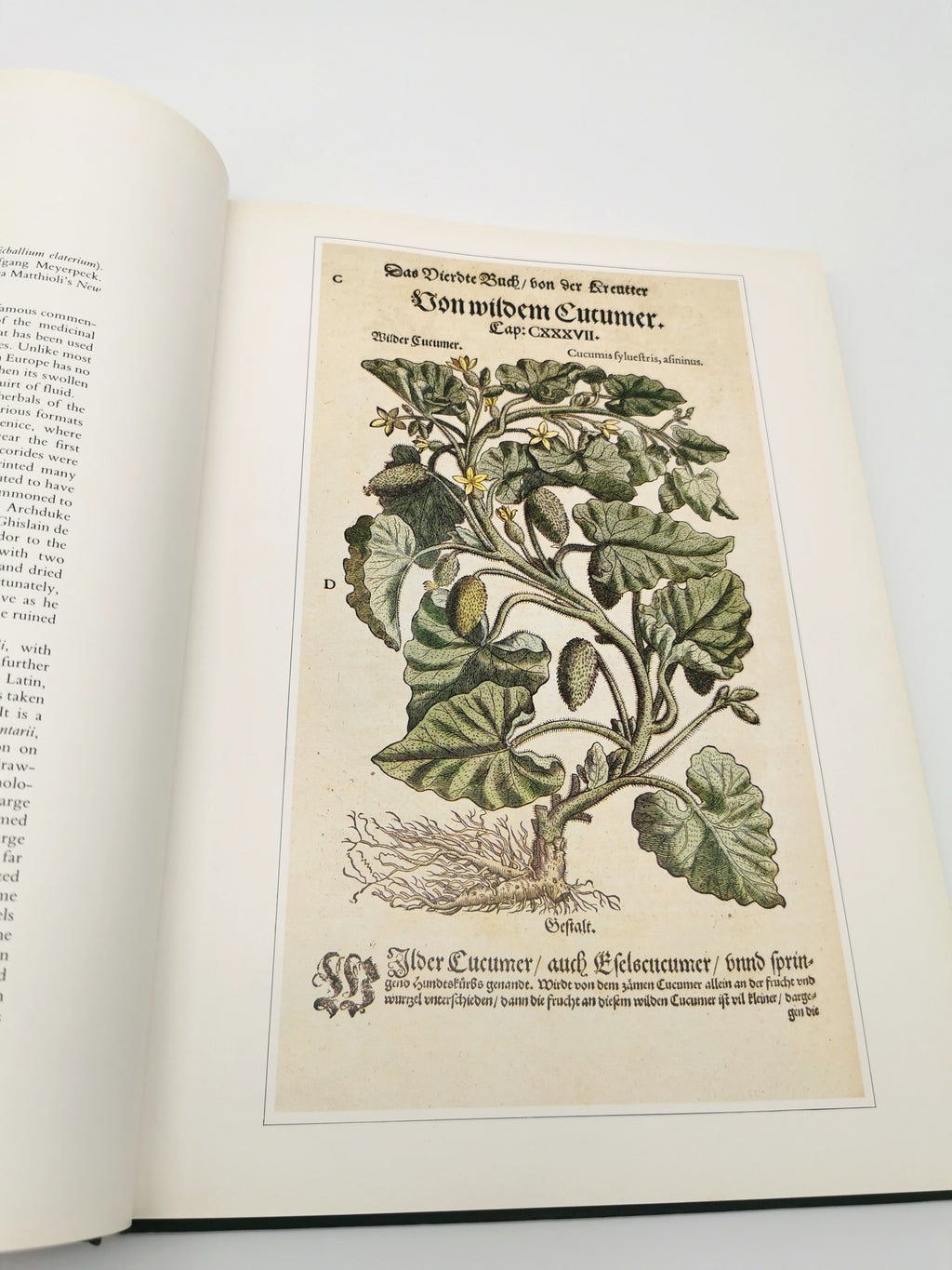 Botanical Prints Large Folio Hardback Book – Eve and Norman Robson (Classic Natural History Prints), Vintage 1991