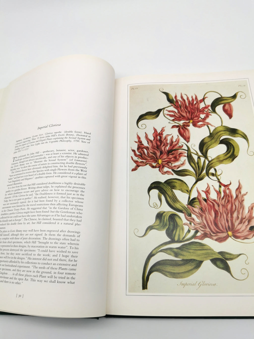Botanical Prints Large Folio Hardback Book – Eve and Norman Robson (Classic Natural History Prints), Vintage 1991