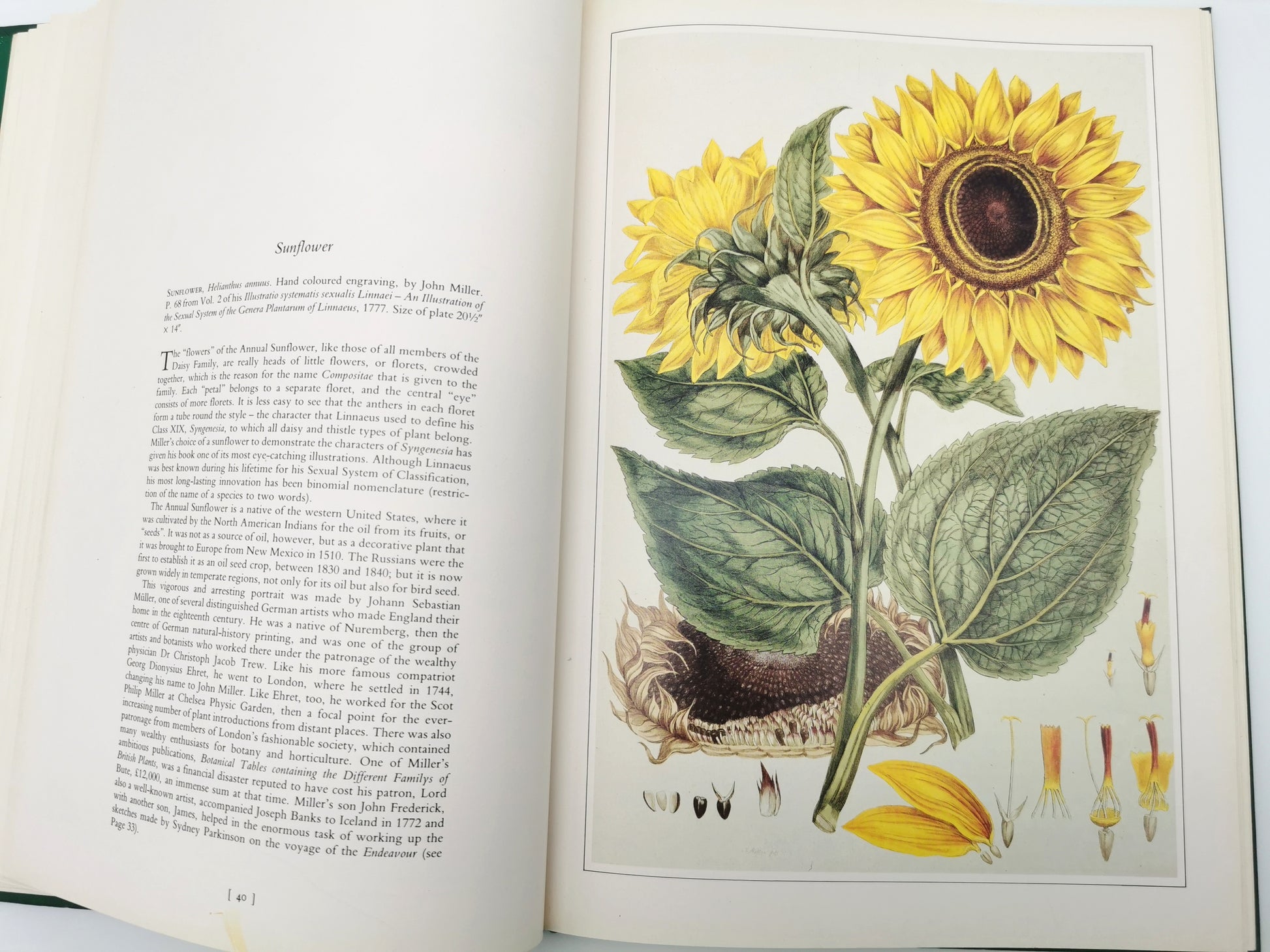Botanical Prints Large Folio Hardback Book – Eve and Norman Robson (Classic Natural History Prints), Vintage 1991