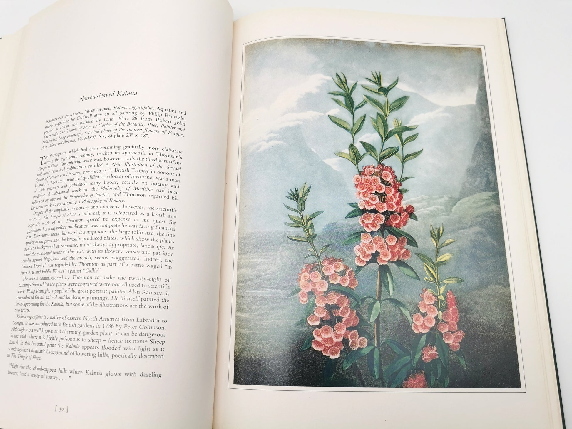 Botanical Prints Large Folio Hardback Book – Eve and Norman Robson (Classic Natural History Prints), Vintage 1991