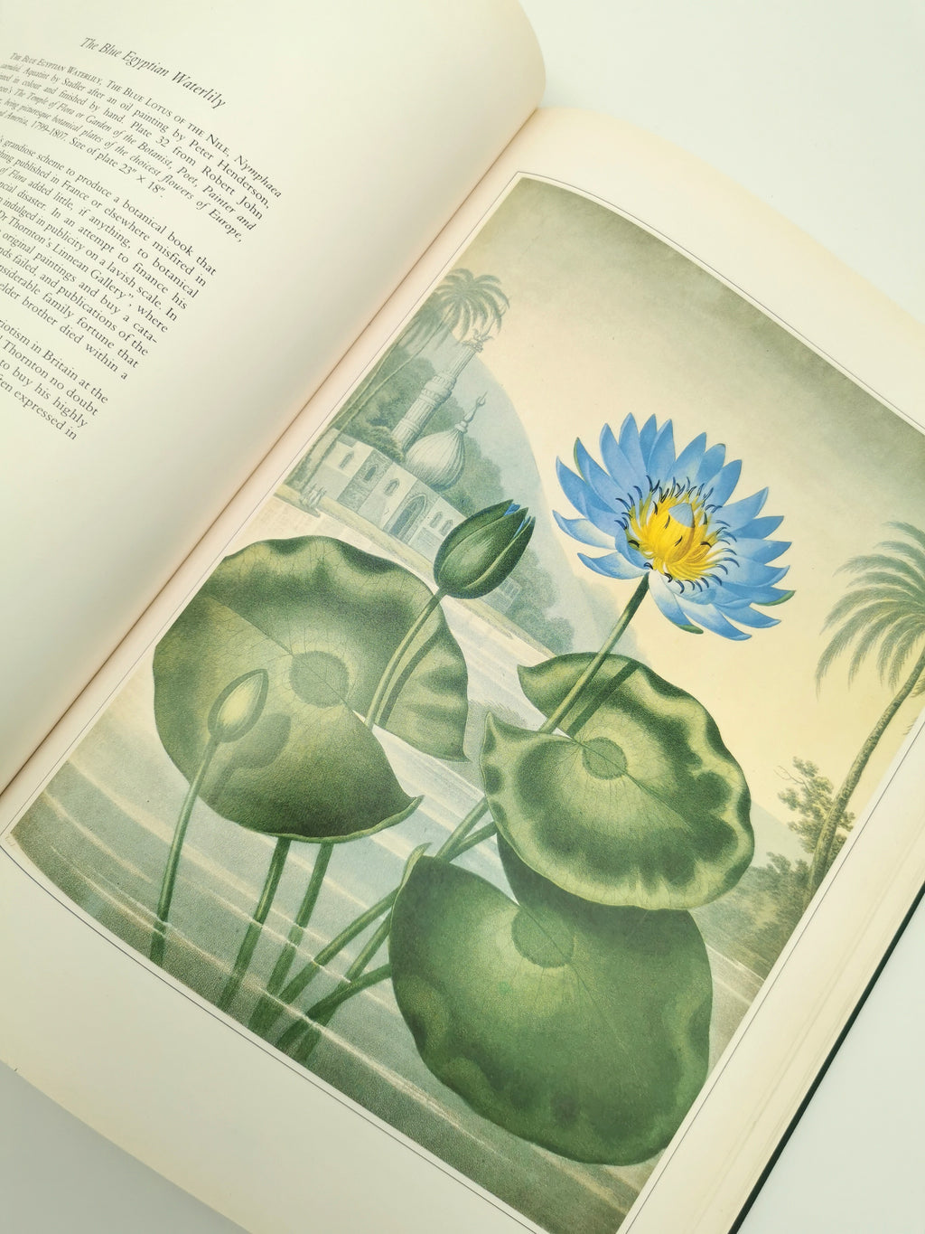 Botanical Prints Large Folio Hardback Book – Eve and Norman Robson (Classic Natural History Prints), Vintage 1991