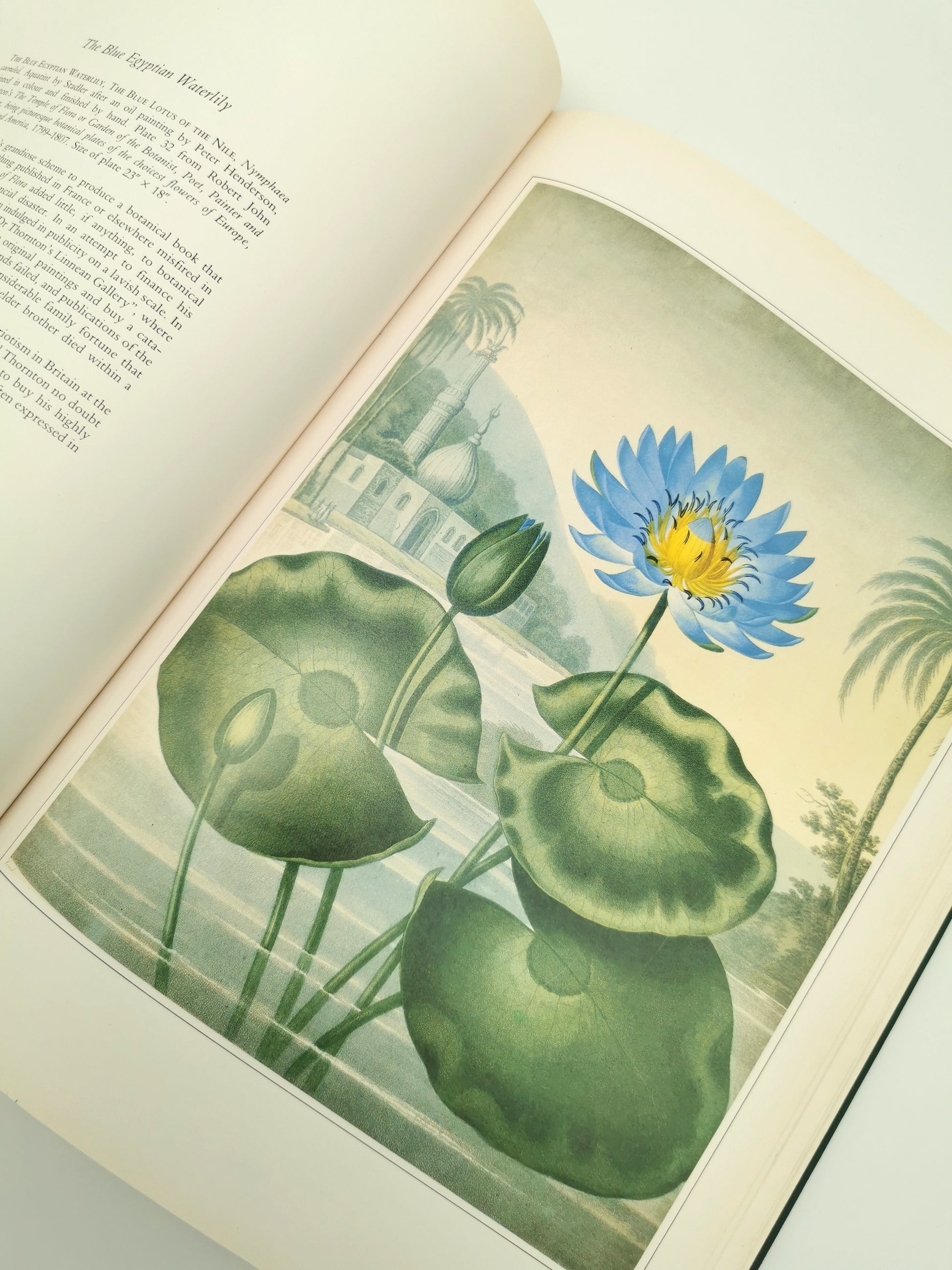 Botanical Prints Large Folio Hardback Book – Eve and Norman Robson (Classic Natural History Prints), Vintage 1991