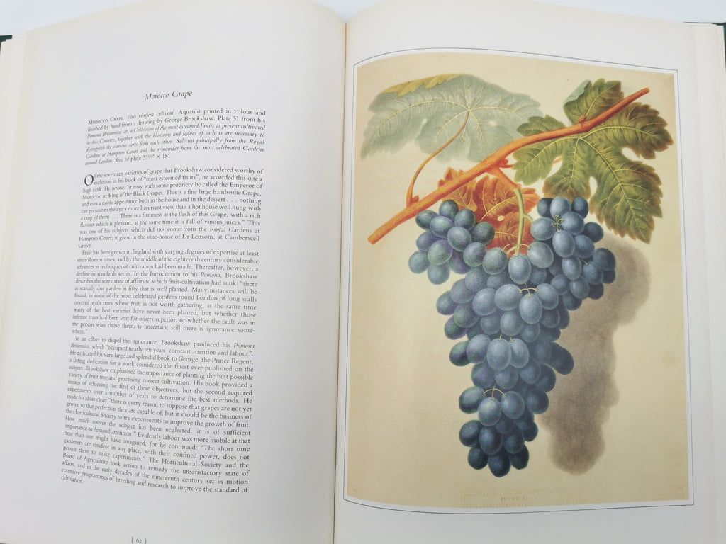 Botanical Prints Large Folio Hardback Book – Eve and Norman Robson (Classic Natural History Prints), Vintage 1991