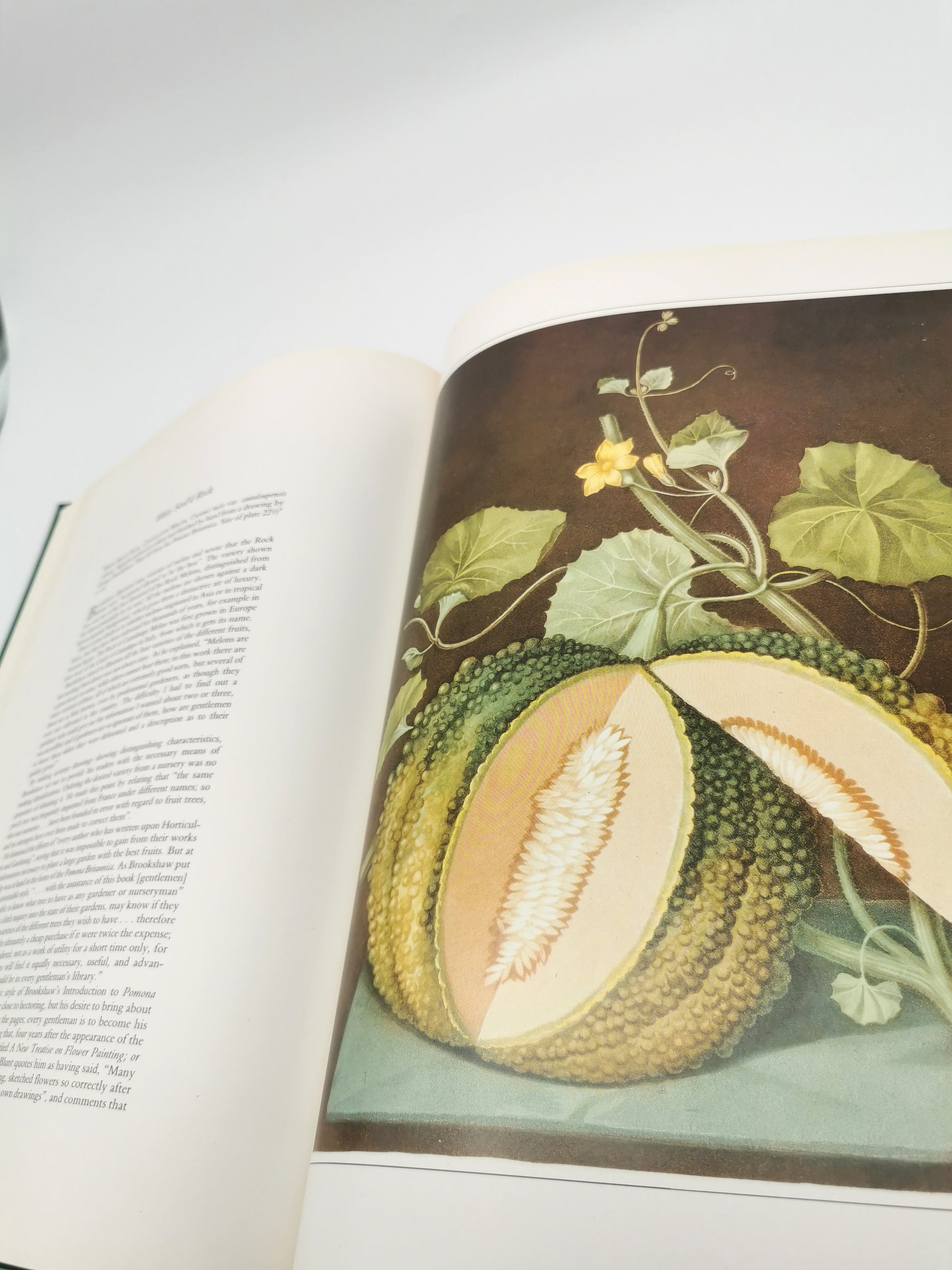 Botanical Prints Large Folio Hardback Book – Eve and Norman Robson (Classic Natural History Prints), Vintage 1991