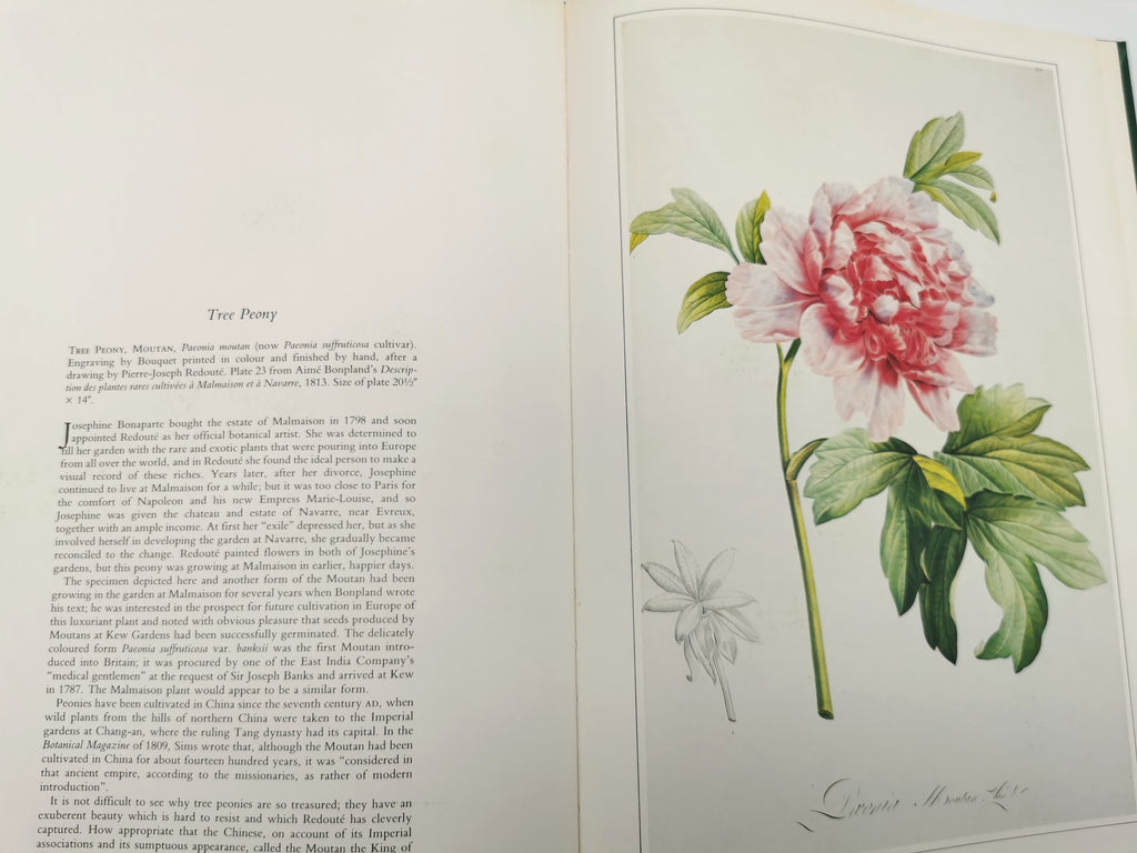 Botanical Prints Large Folio Hardback Book – Eve and Norman Robson (Classic Natural History Prints), Vintage 1991