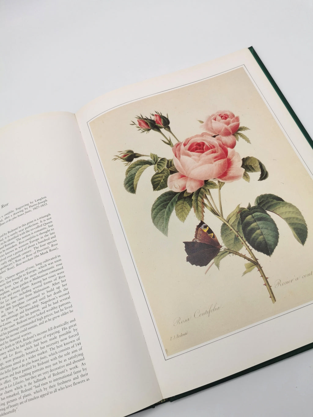 Botanical Prints Large Folio Hardback Book – Eve and Norman Robson (Classic Natural History Prints), Vintage 1991