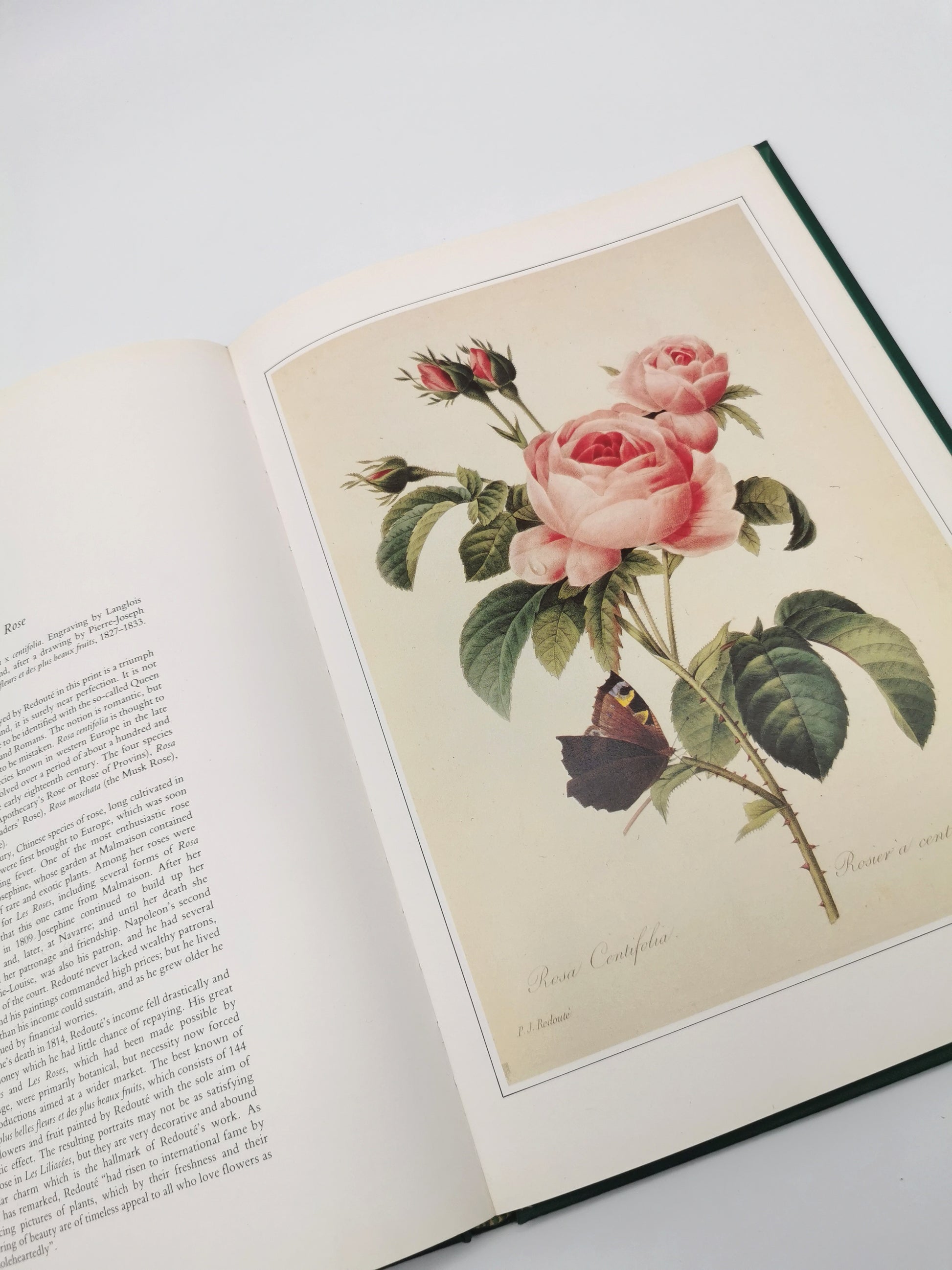 Botanical Prints Large Folio Hardback Book – Eve and Norman Robson (Classic Natural History Prints), Vintage 1991