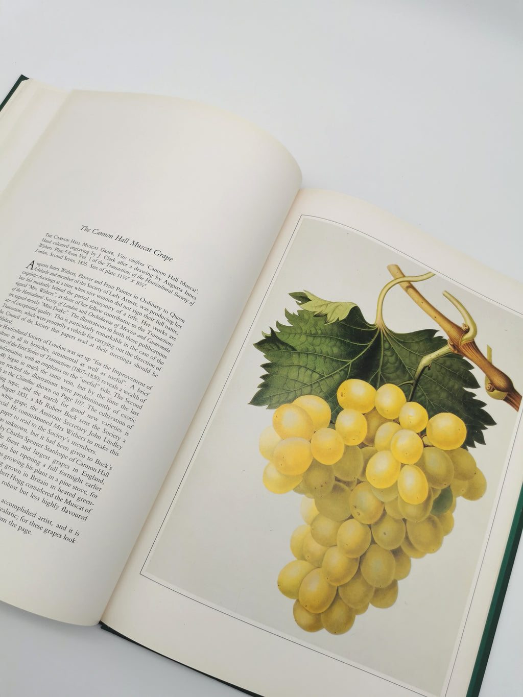Botanical Prints Large Folio Hardback Book – Eve and Norman Robson (Classic Natural History Prints), Vintage 1991