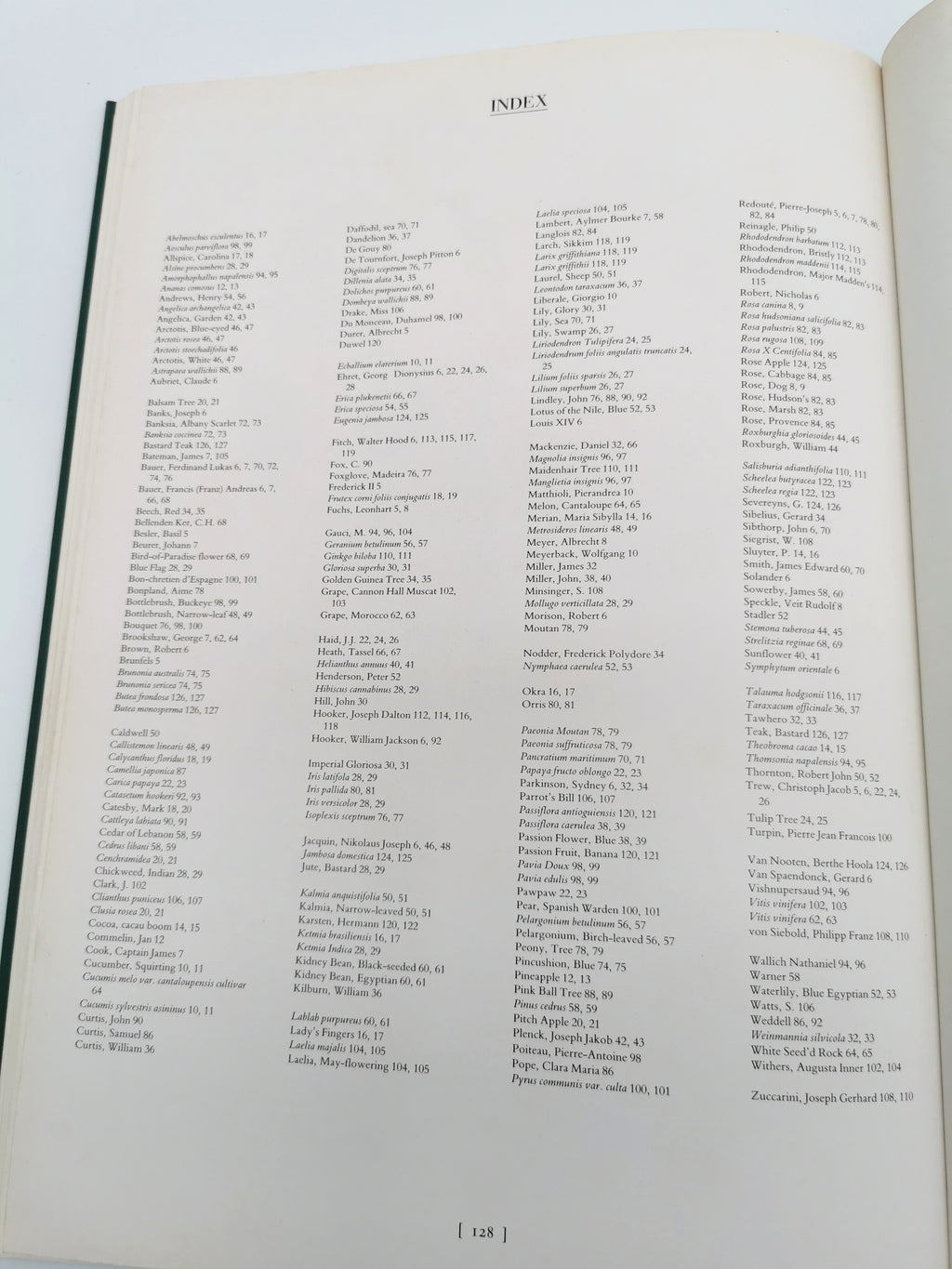 Botanical Prints Large Folio Hardback Book – Eve and Norman Robson (Classic Natural History Prints), Vintage 1991