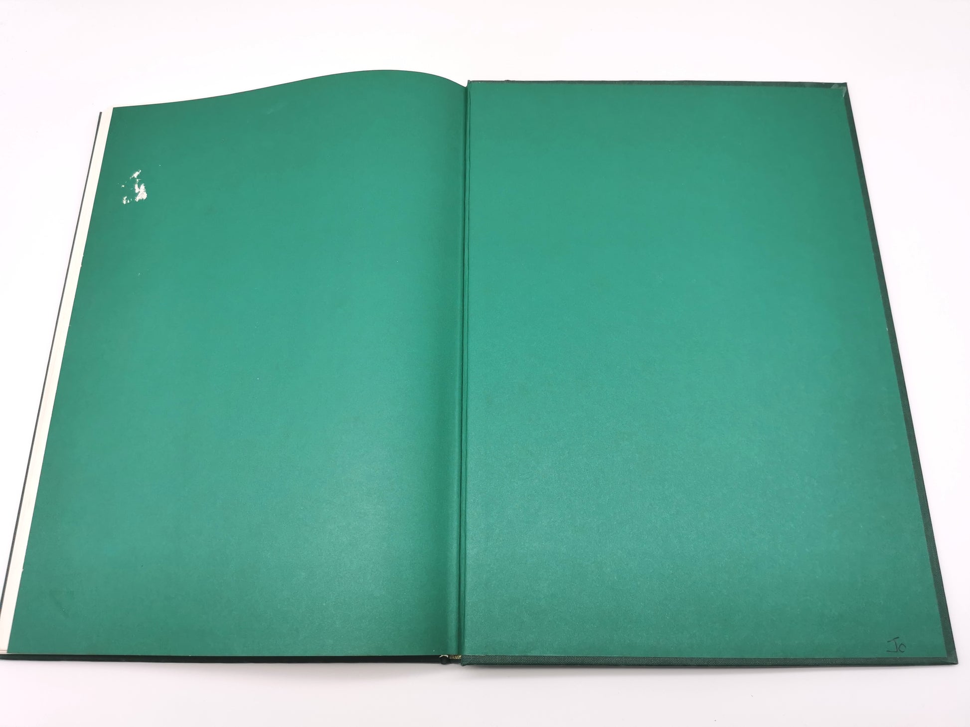 Botanical Prints Large Folio Hardback Book – Eve and Norman Robson (Classic Natural History Prints), Vintage 1991