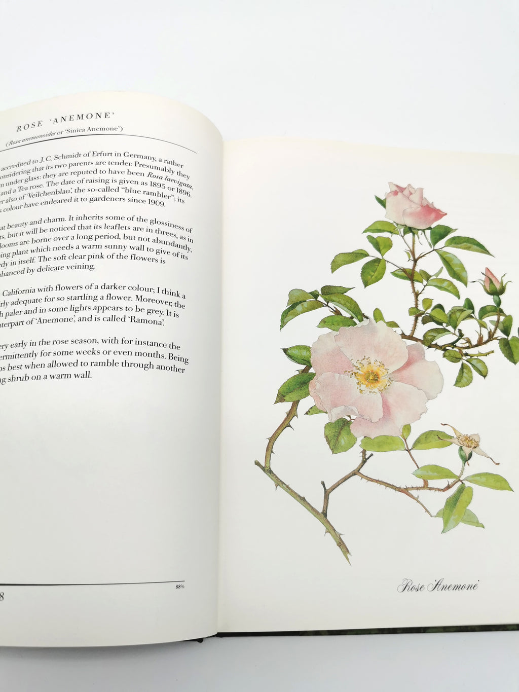 A Garden of Roses  - Alfred Parsons & Graham Stuart Thomas Vintage 1987 Hardback Book (First Edition)