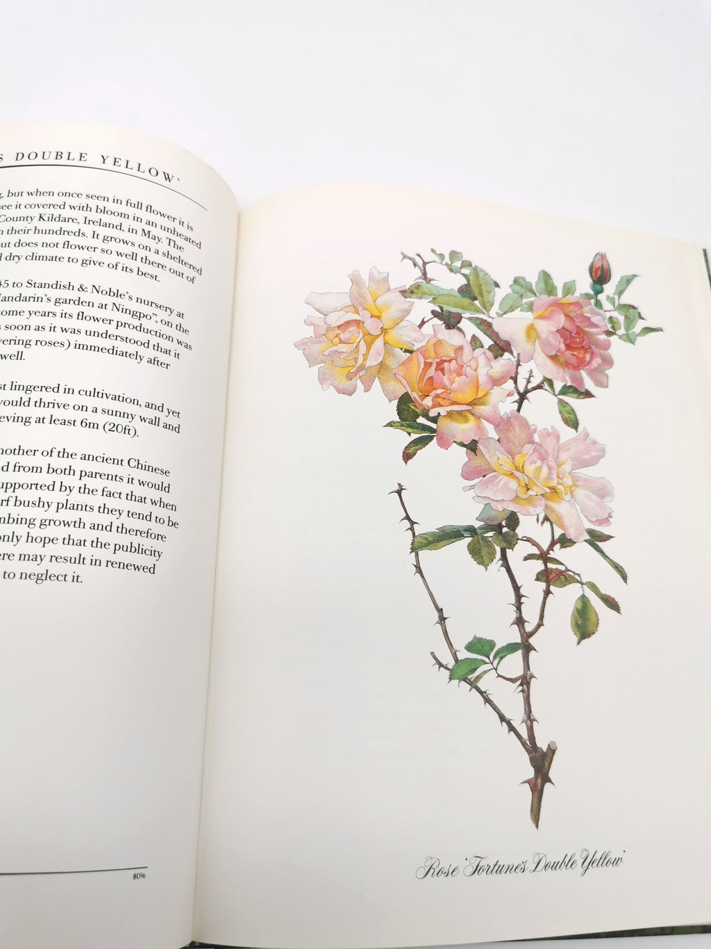 A Garden of Roses  - Alfred Parsons & Graham Stuart Thomas Vintage 1987 Hardback Book (First Edition)