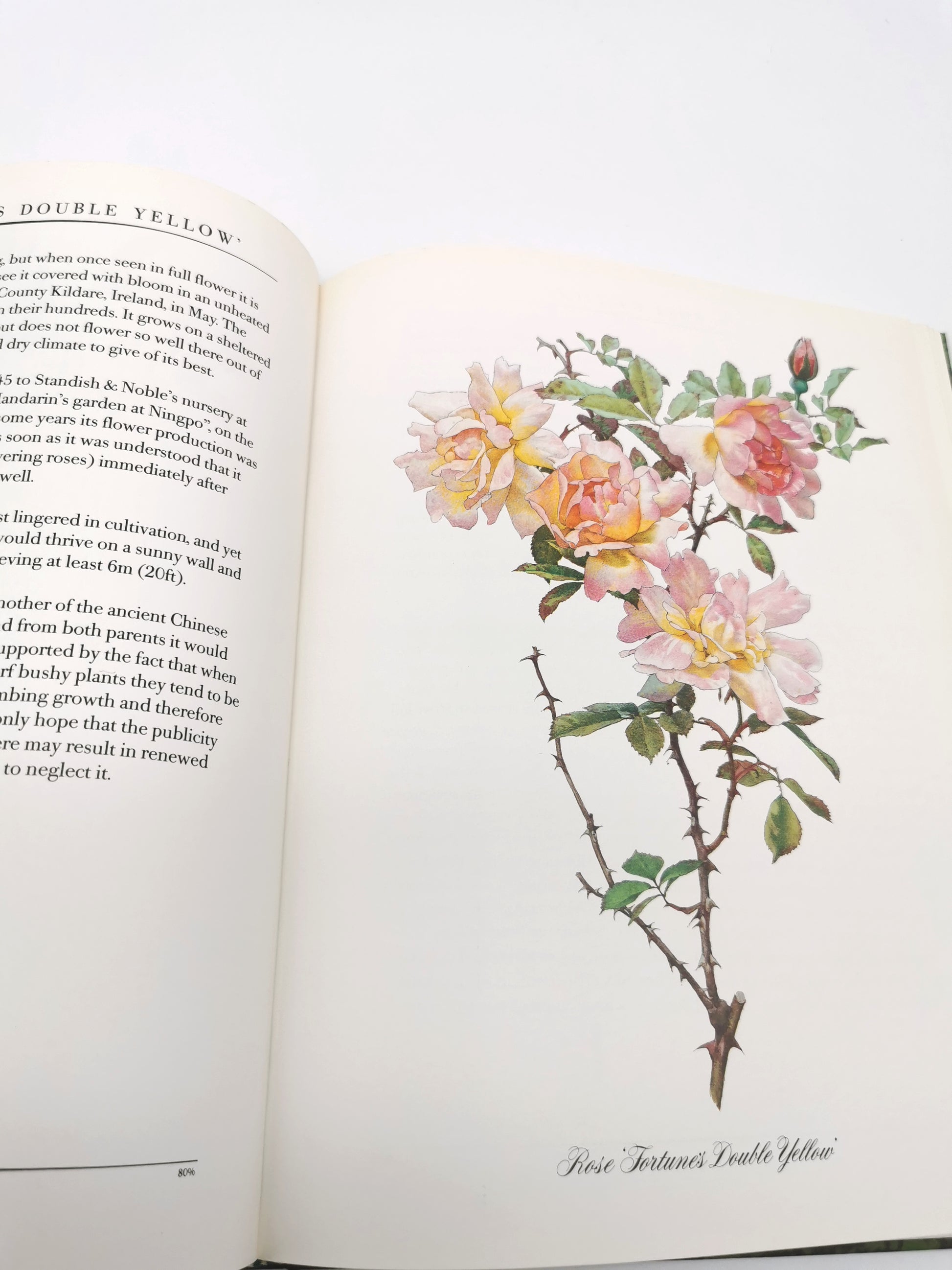A Garden of Roses  - Alfred Parsons & Graham Stuart Thomas Vintage 1987 Hardback Book (First Edition)